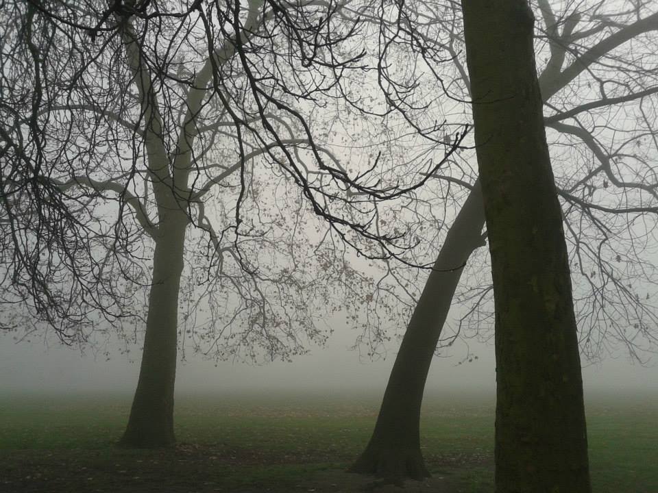 1530444_10152550568194899_586463182_n