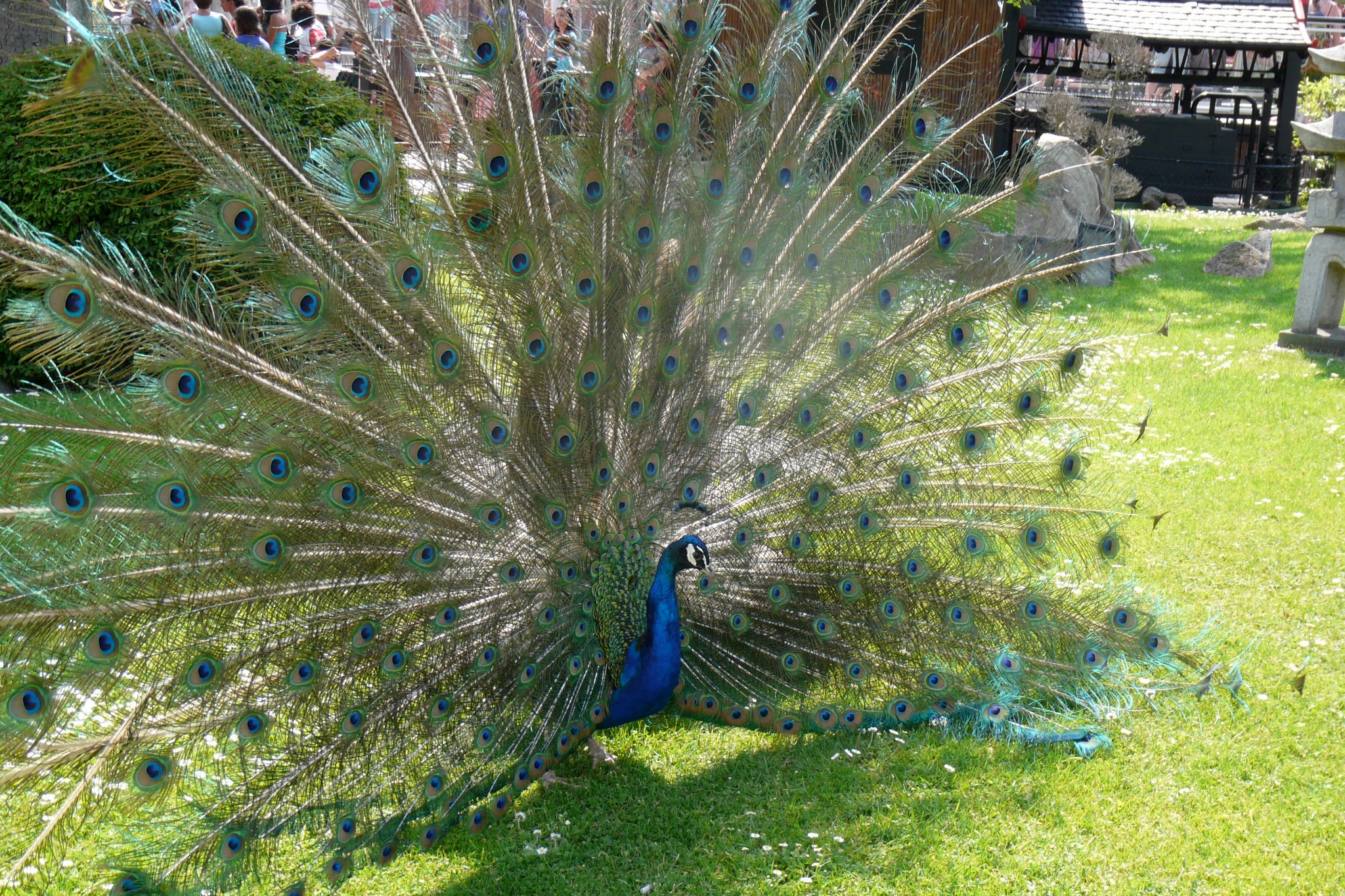 328744_10151463133154899_429636465_o