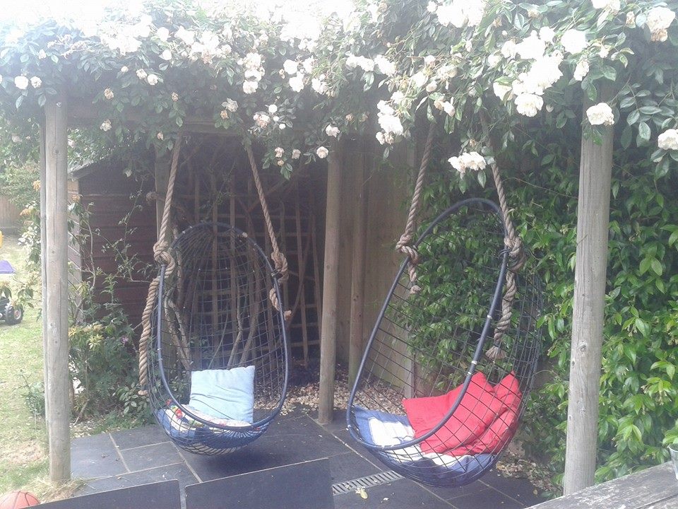 11695858_10154079728024899_8120600197132541358_n