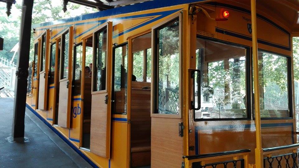 13957383_10154467319433293_1979659117_n