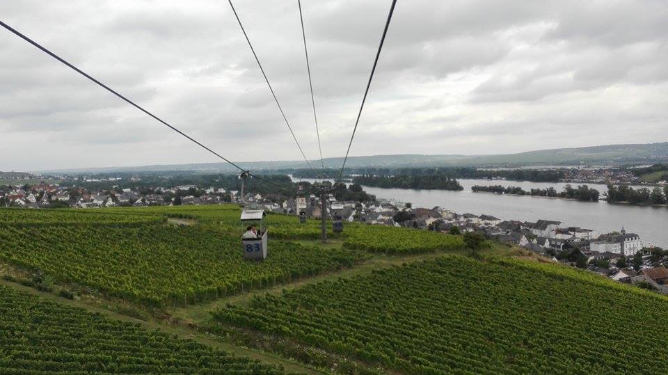 13957624_10154470085613293_1641008168_n