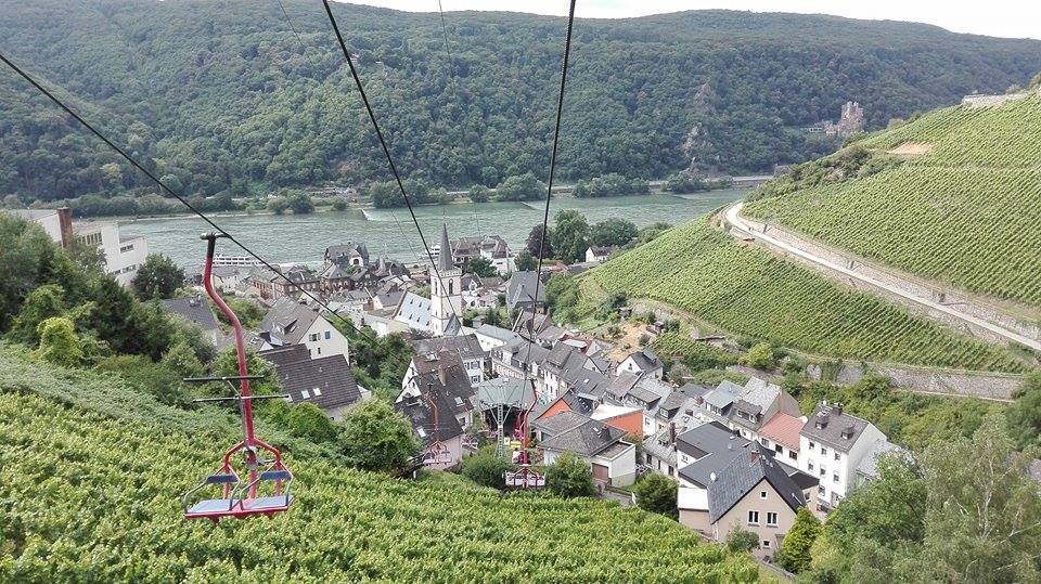 14017572_10154470082903293_63432373_n