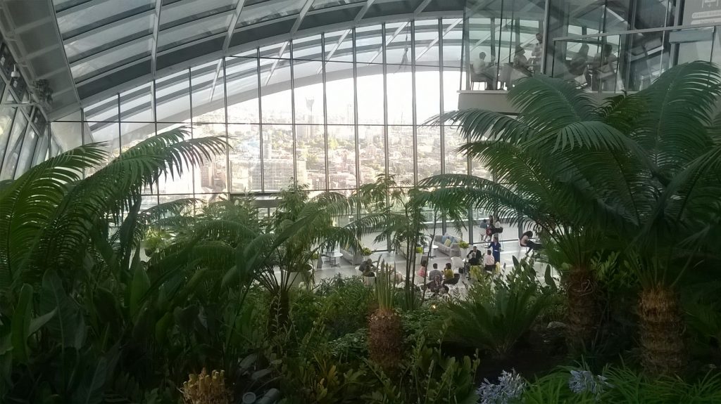 WP_20160725_18_38_29_Pro