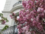 イギリスで学んだことーポジティブであり、楽観的であること