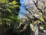 「自分」というものを整理してみる