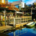 国際結婚ファミリーの日常